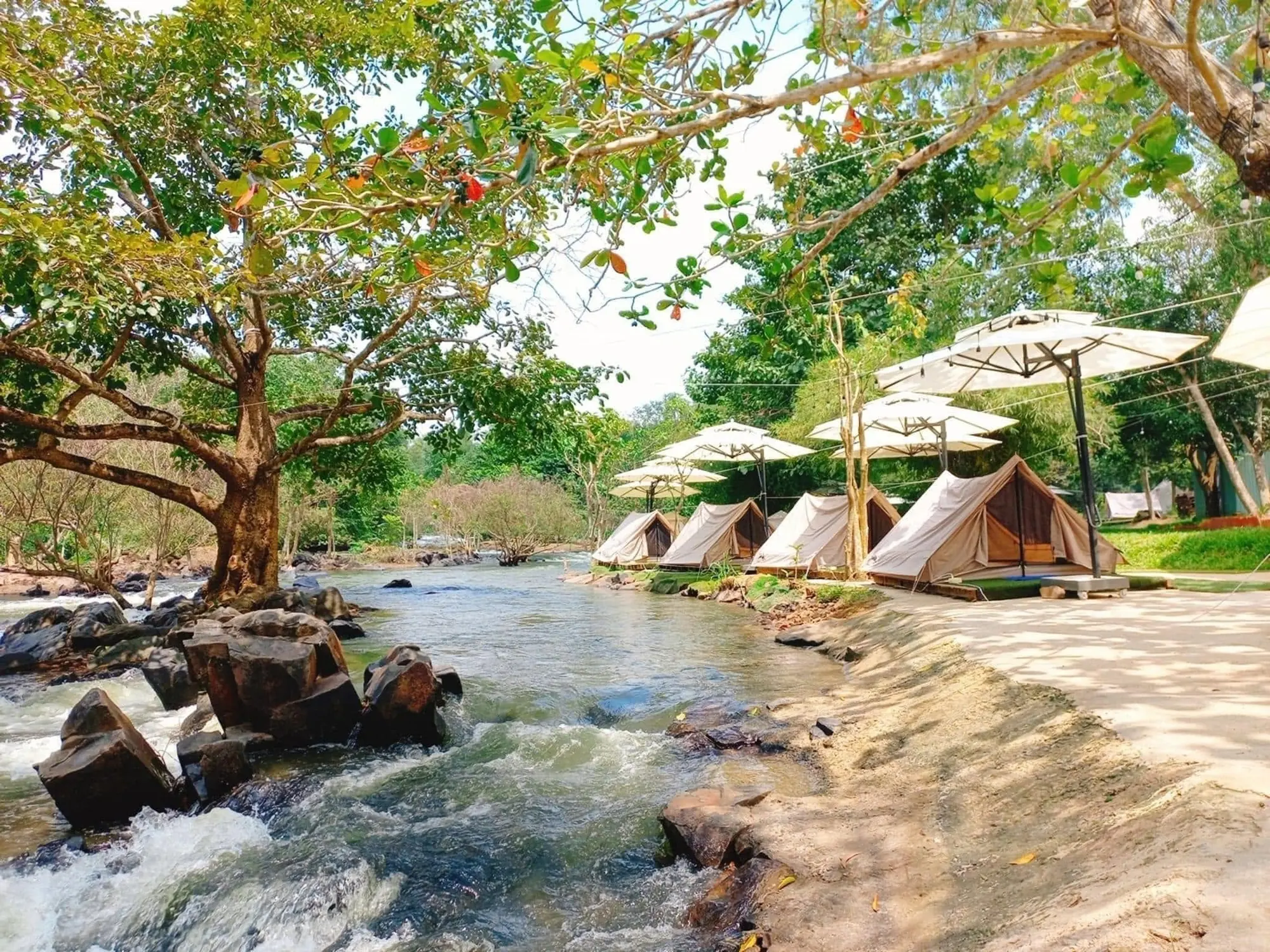 Dãy lều vải dưới ô dù trắng dọc bờ cát, sát dòng suối chảy qua ghềnh đá